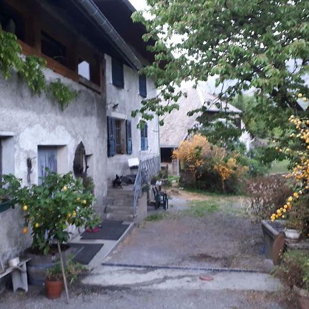 Domaine De La Safraniere - Chambre D'Hote Saint-Léger Eksteriør billede