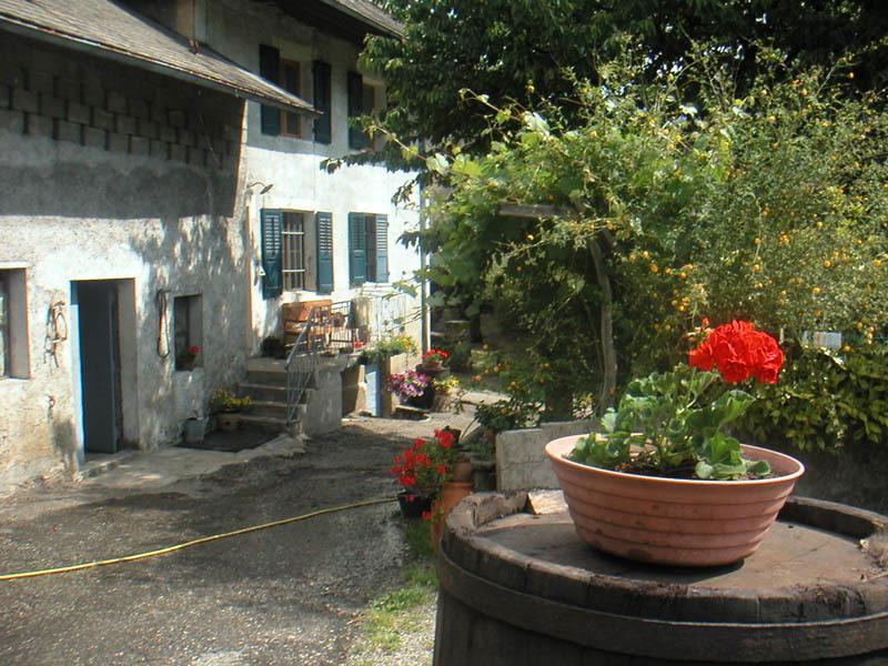 Domaine De La Safraniere - Chambre D'Hote Saint-Léger Eksteriør billede