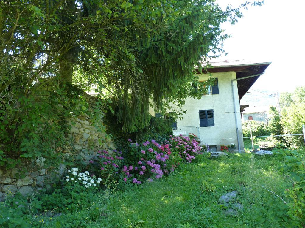 Domaine De La Safraniere - Chambre D'Hote Saint-Léger Eksteriør billede