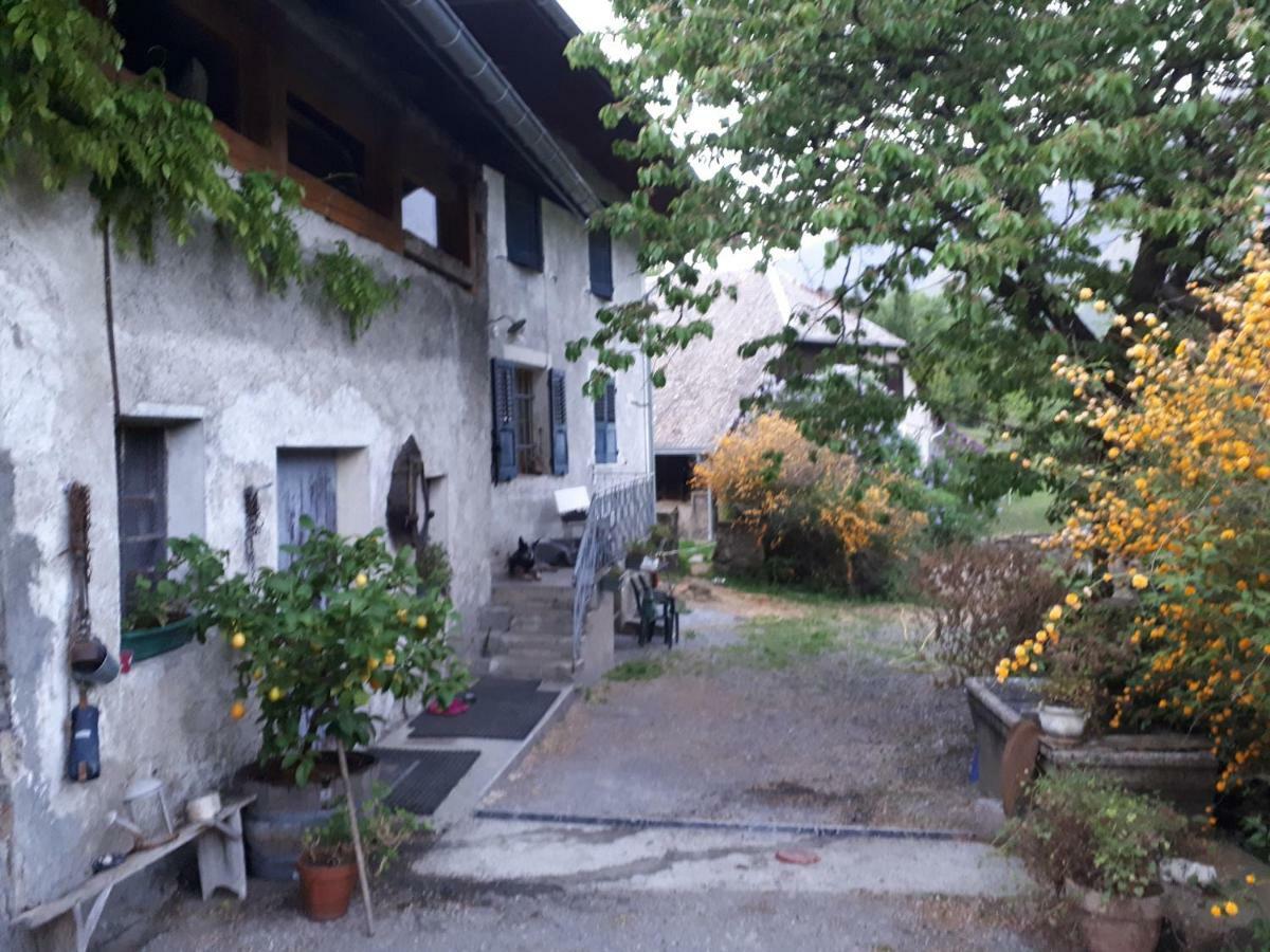 Domaine De La Safraniere - Chambre D'Hote Saint-Léger Eksteriør billede